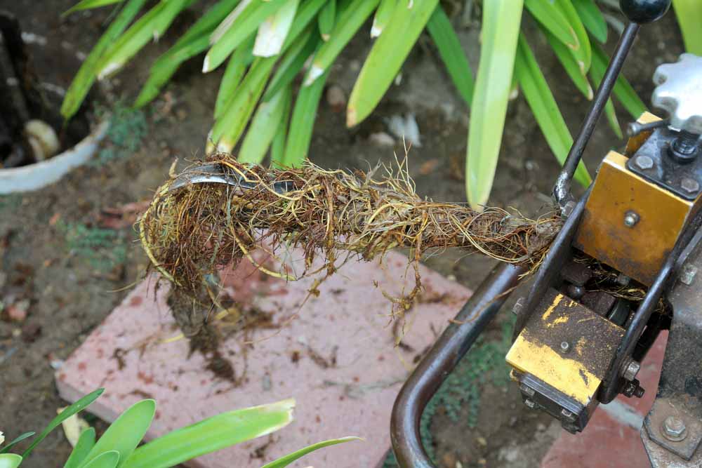 root-infiltrated sewer pipe Spokane Valley, WA